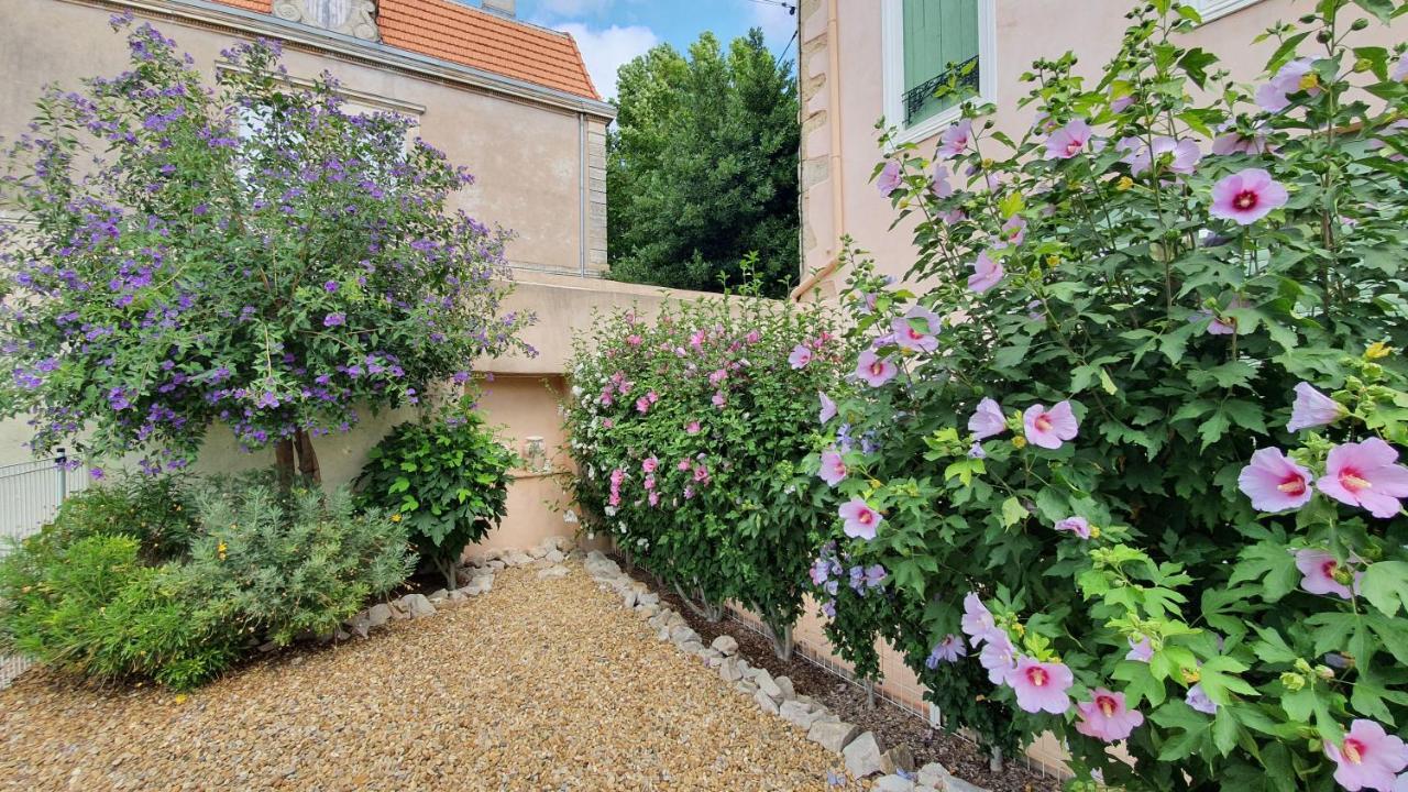Gîtes tout au sud de la France Pomérols Extérieur photo